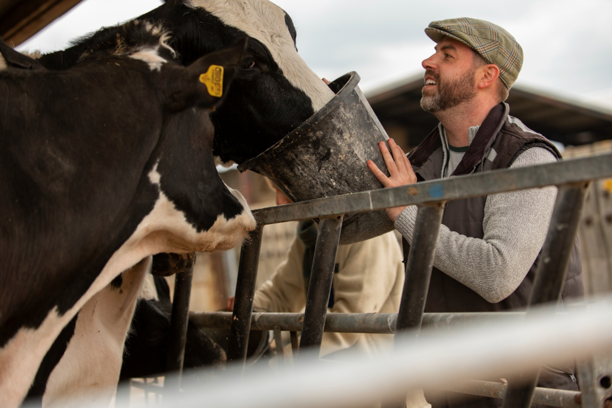 Trazabilidad de la carne en Argentina: guía completa