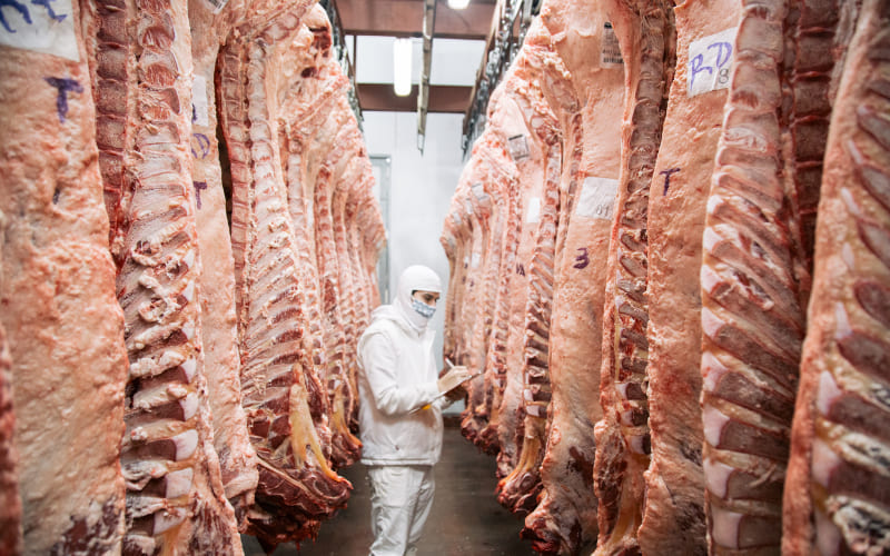 Cuarto delantero y cuarto trasero: diferencias, cortes y usos