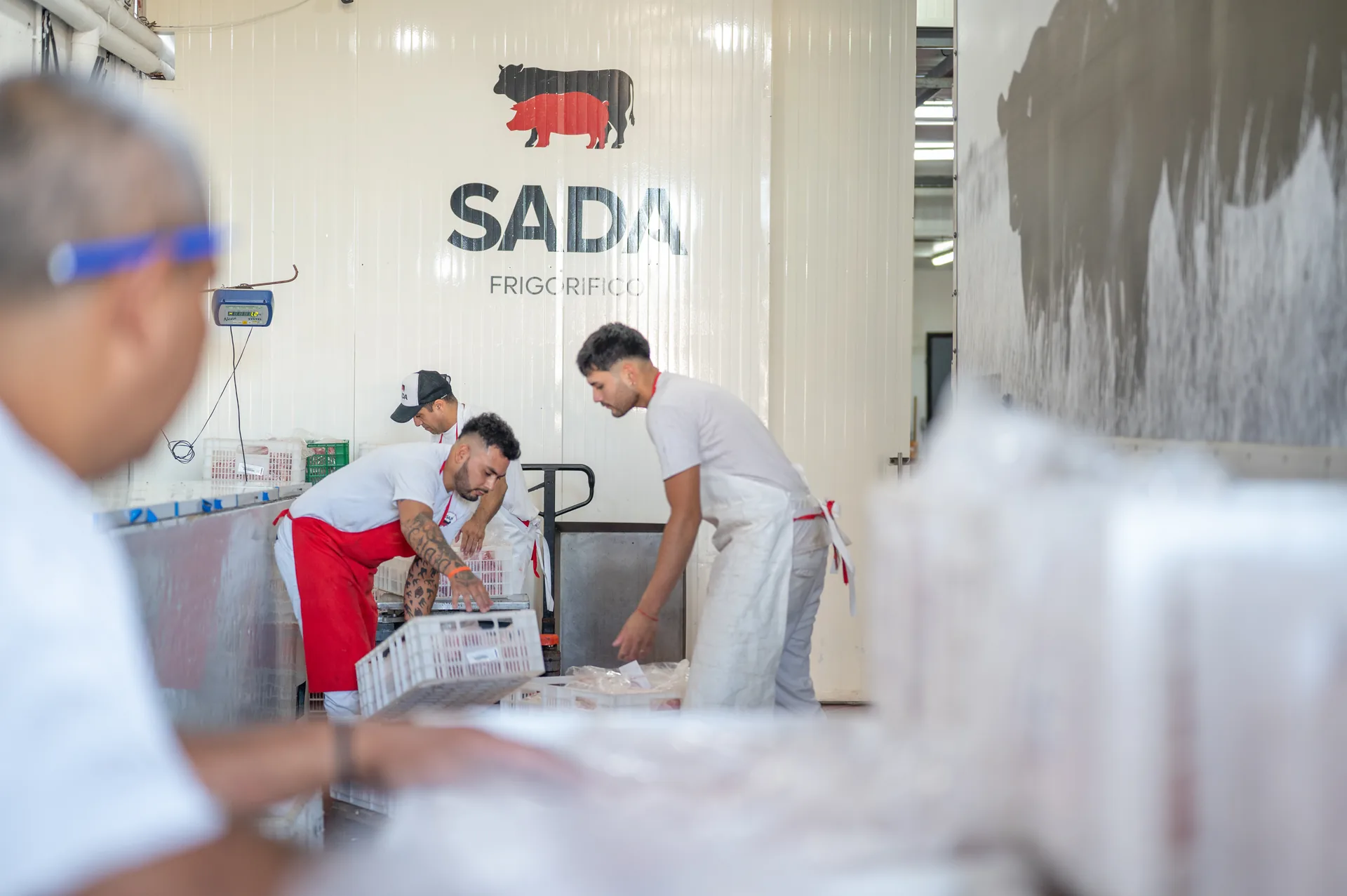 Carnicería mayorista Frigorífico SADA Pilar — interior